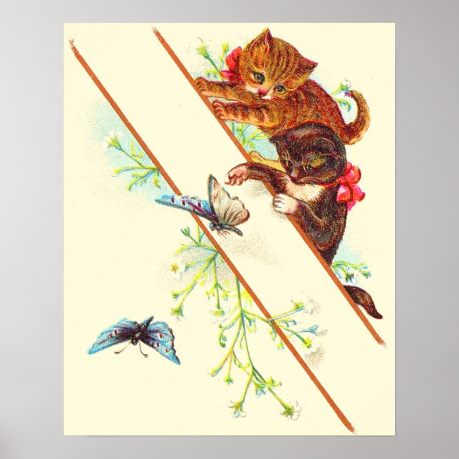 Kletterkätzchen und Schmetterlinge Poster (Vorne)