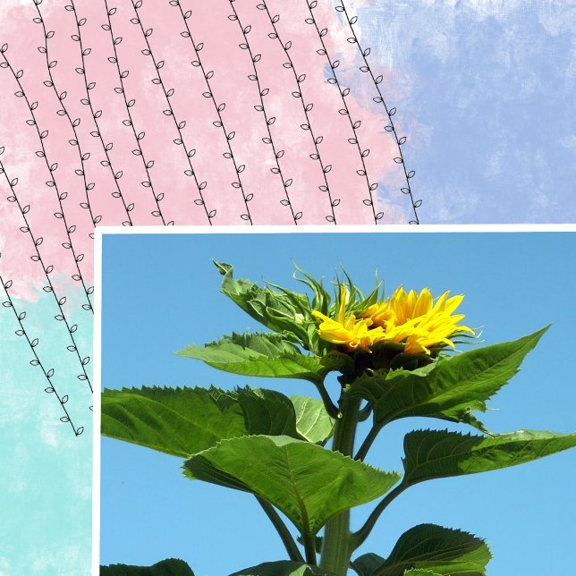 Klettern Blätter Pflanze Scrapbooking Holzkunst Br Gummistempel (Von Creator hochgeladen)