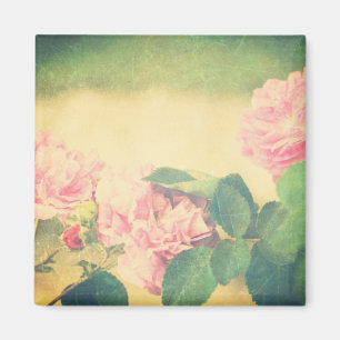 Kletternde rosa Rosen Magnet
