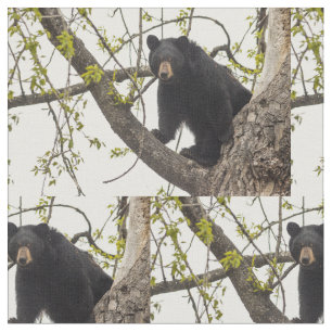 Kletternder schwarzer Bär Stoff
