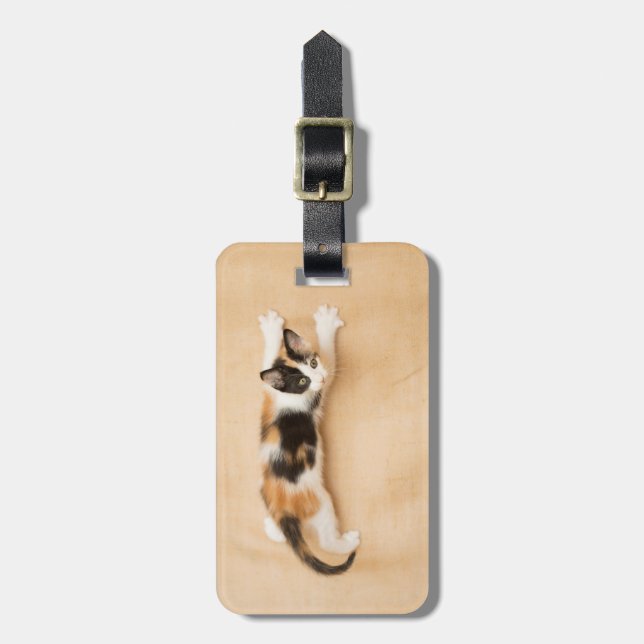 Kletterndes Kaliko-Kätzchen Gepäckanhänger (Vorderseite vertikal)