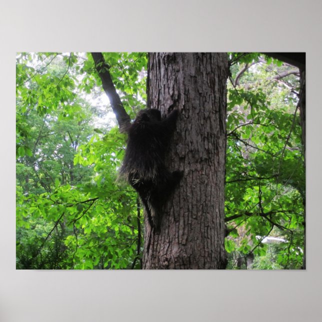 Klettersteig Poster (Vorne)