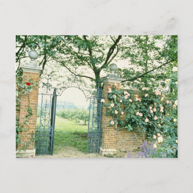 Klettersteige Rose neben der Blume aus Schmiedeeis Postkarte (Vorderseite)
