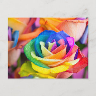kleuren bloem postkarte