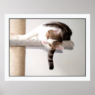 Klifferhänger Poster