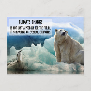 Klimawandel mit Eisbärenpinguin Postkarte