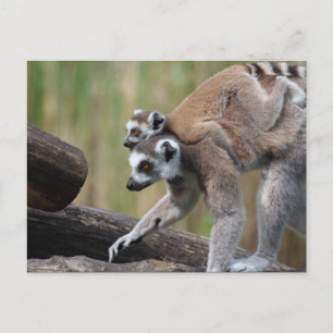 Klingelschwanzmutter und Baby Postkarte