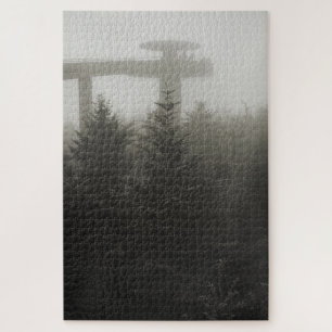 Klingmans Dome im Nebel - GSMNP - 20x30