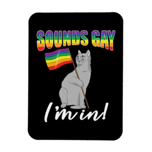 Klingt schwul, ich bin in Katze Magnet
