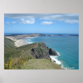Klippe bei Cape Reinga, NZ, Foto von LMP Poster