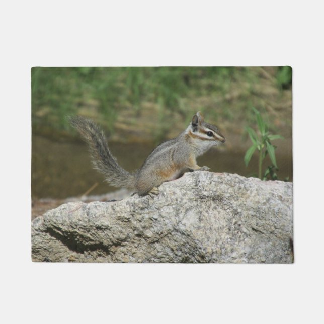KlippeChipmunk Fußmatte (Vorderseite)