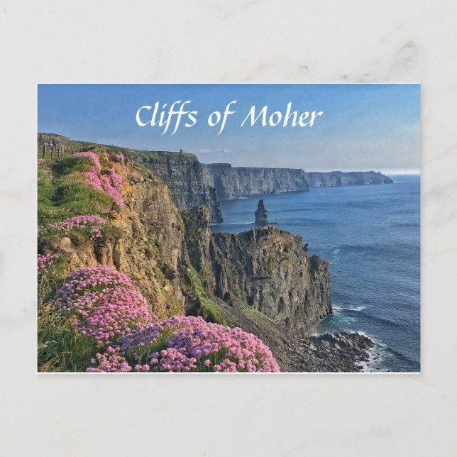 Klippen von Moher, Irland, Blume Postkarte (Vorderseite)