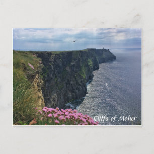 Klippen von Moher, Irland, Blume, Postkarte