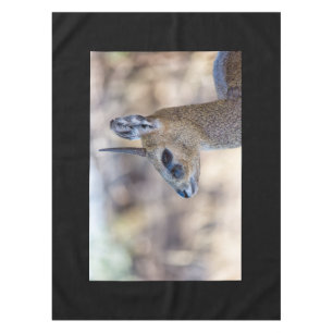 Klipspringer Portrait Tischdecke