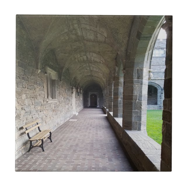 Klosterallee mit Schatten in Bryn Mawr Fliese (Vorderseite)