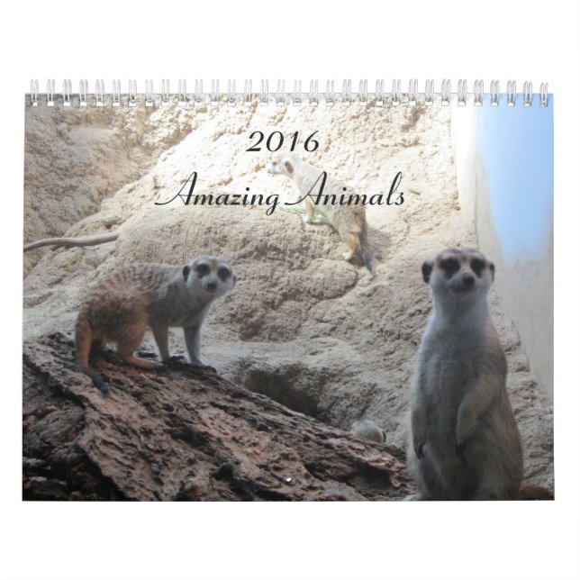 Klug Tiere Kalender (Titelbild)