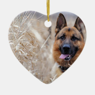 Kluger Schäferhund-Welpe Keramikornament