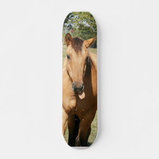 Klugscheißer Skateboard