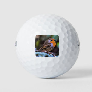 Klumpen Robin auf einem Zweig der Naturkunst Golfball
