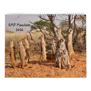 KMP Erdmännchen 2026 Kalender