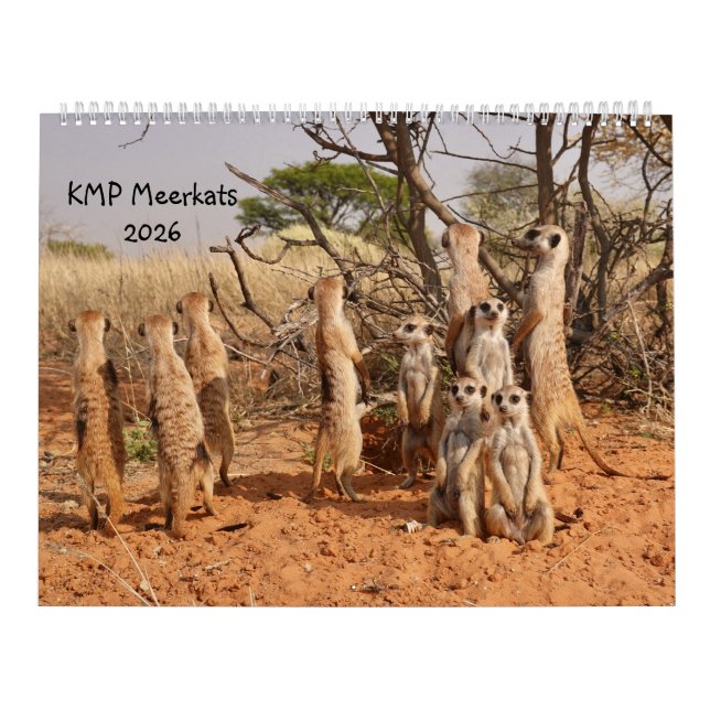 KMP Erdmännchen 2026 Kalender (Titelbild)