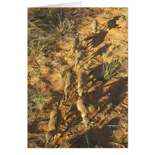 KMP Karte 10 - Moomins Luftlinie (Vorne)