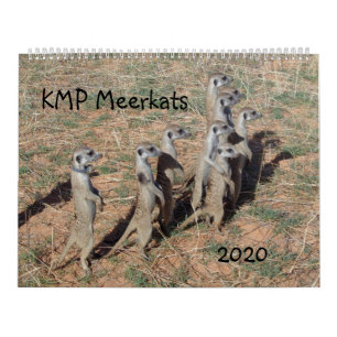 KMP Meerkats - 2020 Kalender