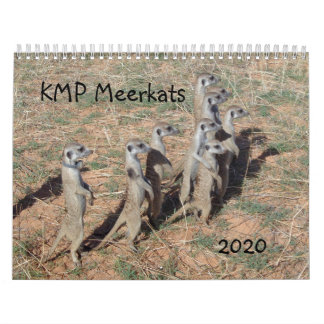 KMP Meerkats - 2020 Kalender