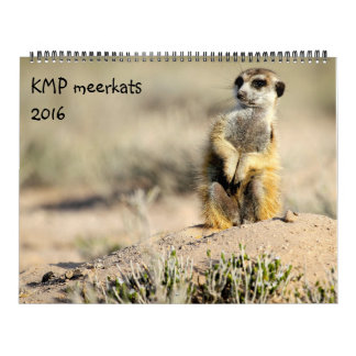 KMP Meerkats - calendrier 2016