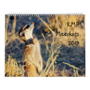 KMP meerkats - Kalender 2019