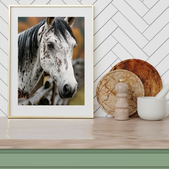 Knabstrupper Poster (Von Creator hochgeladen)