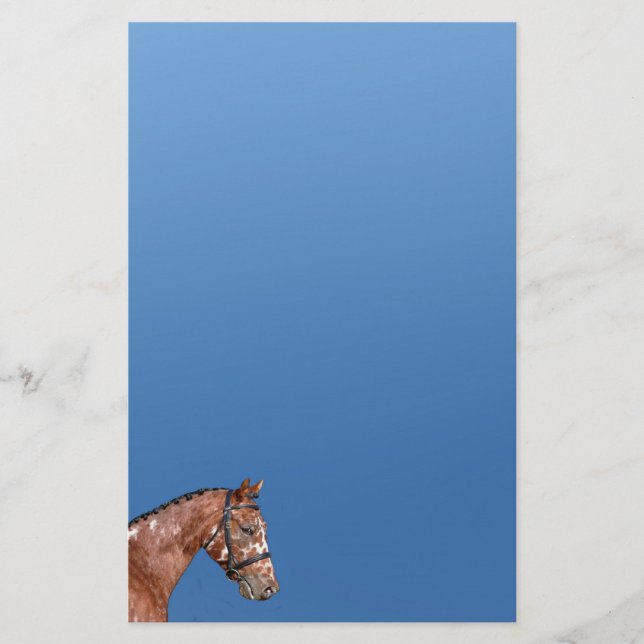 Knabstrupper Stallion Stationery Paper Blue Briefpapier (Vorderseite)