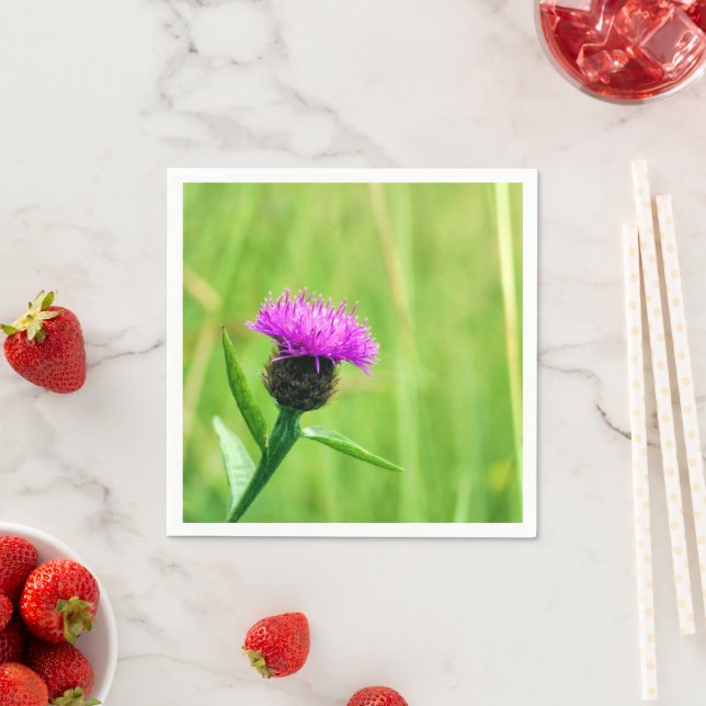 Knapweed Napkins Serviette (Beispiel)