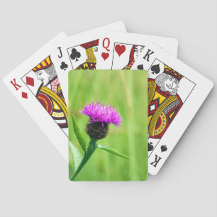 Knapweed Spielkarten