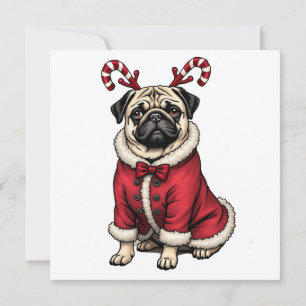 Kneipenhund trägt Weihnachtsmannanzug für Hundebes