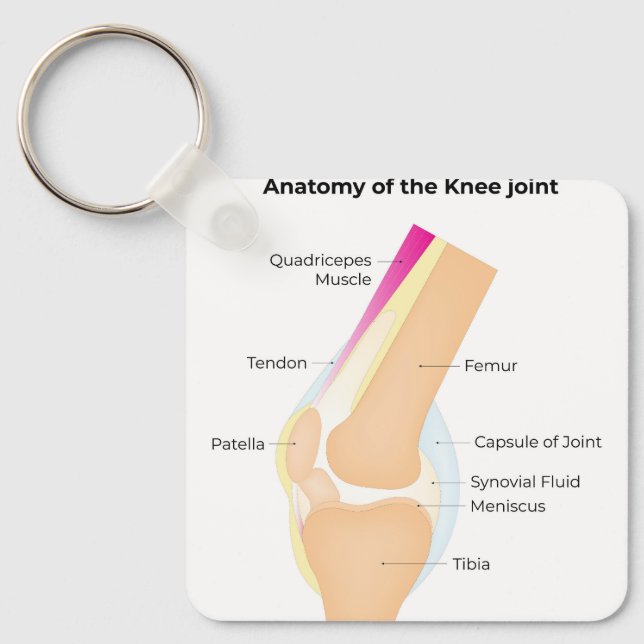 Knie-Anatomie Schlüsselanhänger (Vorderseite)