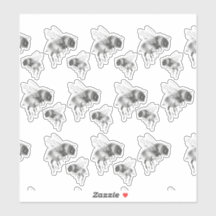 Knie der Biene in Schwarz-Weiß