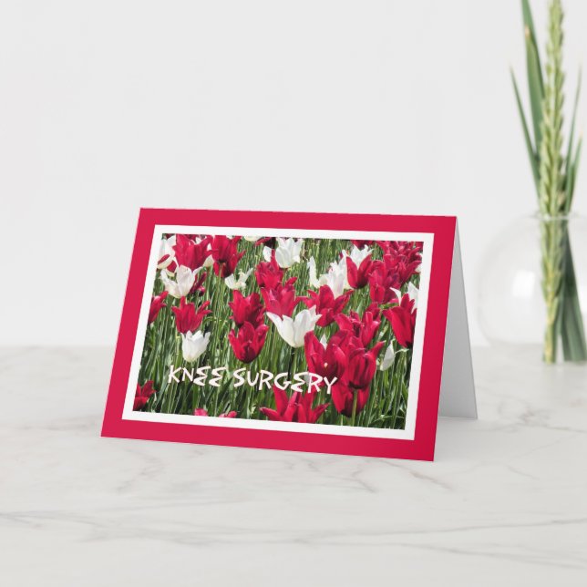 Knie-Operation-Karte, rote, weiße Tulpen Karte (Vorderseite)