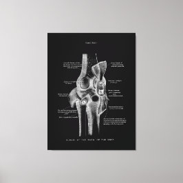 Kniegelenke Anatomie Kunst Leinwanddruck