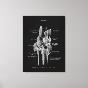 Kniegelenke Anatomie Kunst Leinwanddruck