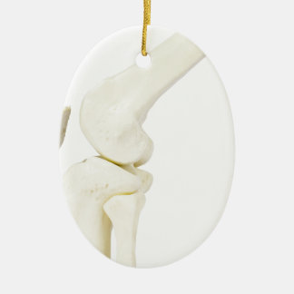 Kniegelenkmodell des menschlichen Beines Keramik Ornament