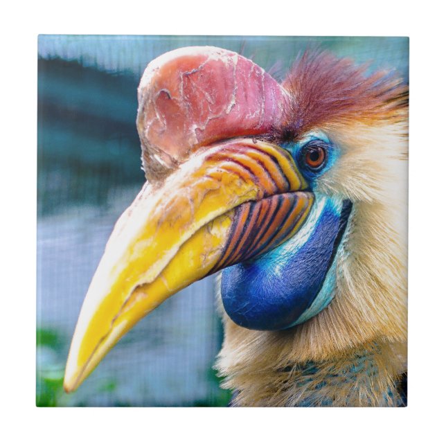 Knobbenhornvogel Fliese (Vorderseite)