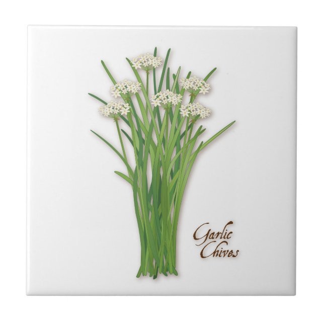 Knoblauch Chives Herb Keramik Tile Fliese (Vorderseite)