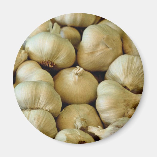 Knoblauch, frisch magnet (Vorne)