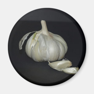 KNOBLAUCH MAGNET