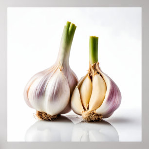 Knoblauch Poster