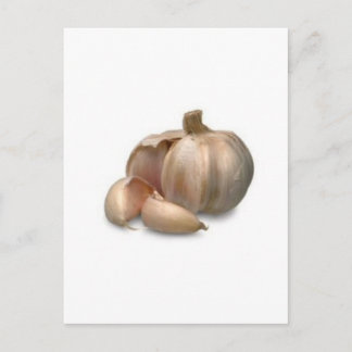 Knoblauchzwiebel Postkarte