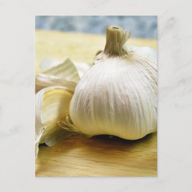 Knoblauchzwiebeln Stillleben Postkarte (Vorderseite)