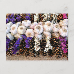 Knoblauchzwiebeln und Kiefernzangen Postkarte