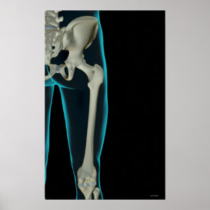 Knochen der angesagten 2 poster